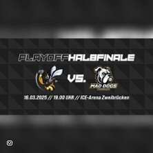 EHC Zweibrücken - Baden Ruinös | Playoff Finale Spiel 2 Zweibrücken